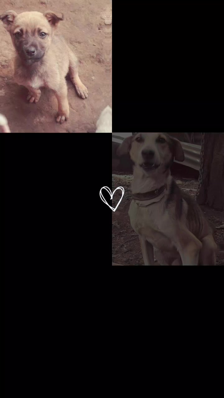 @🇬🇹😻maria😻💗