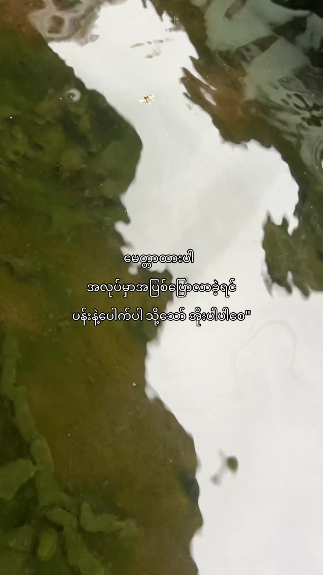 @๐๐ข๐ซ๐ (แแฎแแฌ)๐ฅ