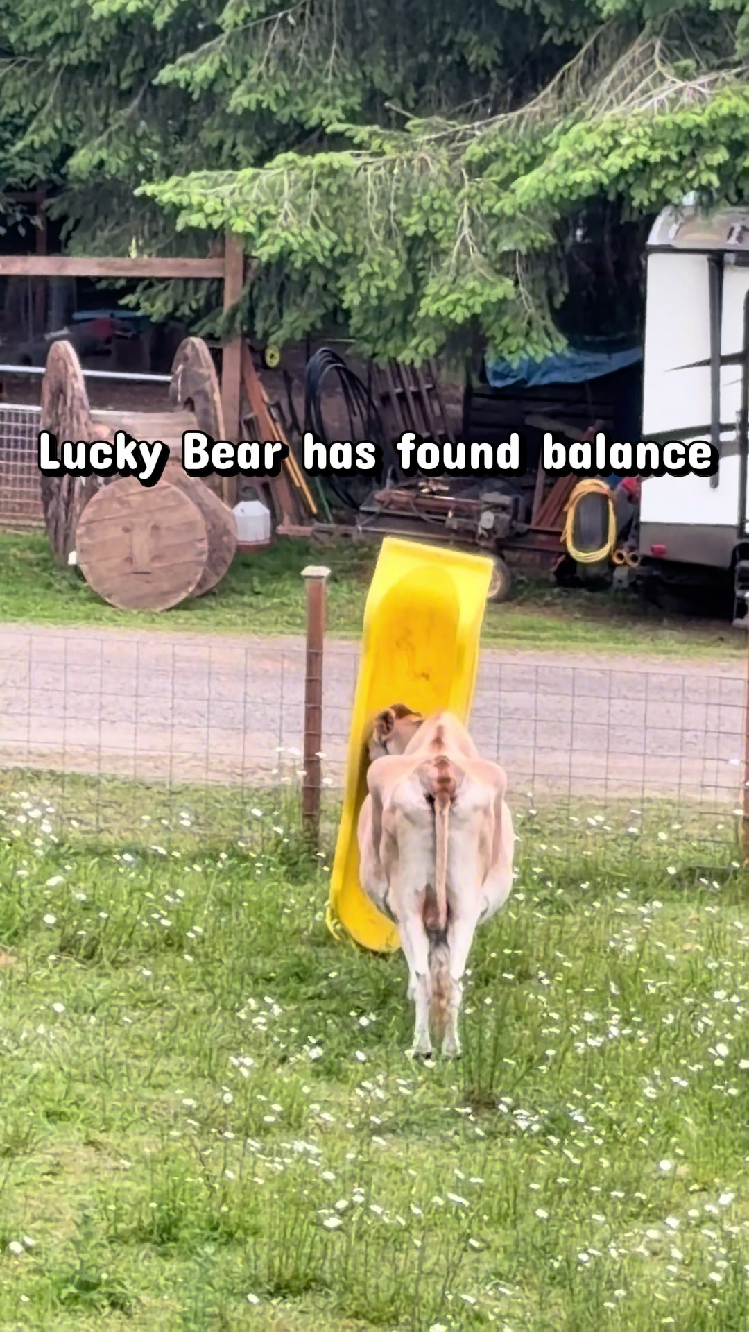@oregonskyveek