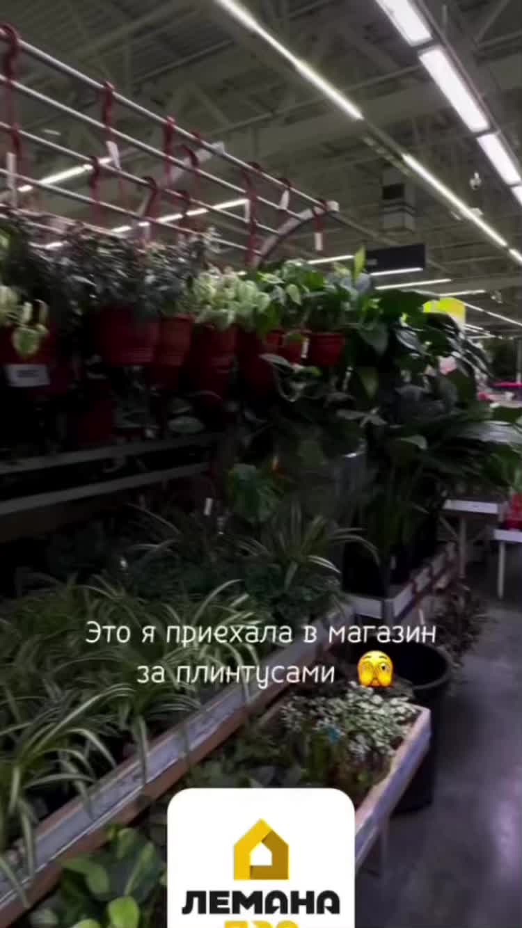 @🌹Екатерина🌹