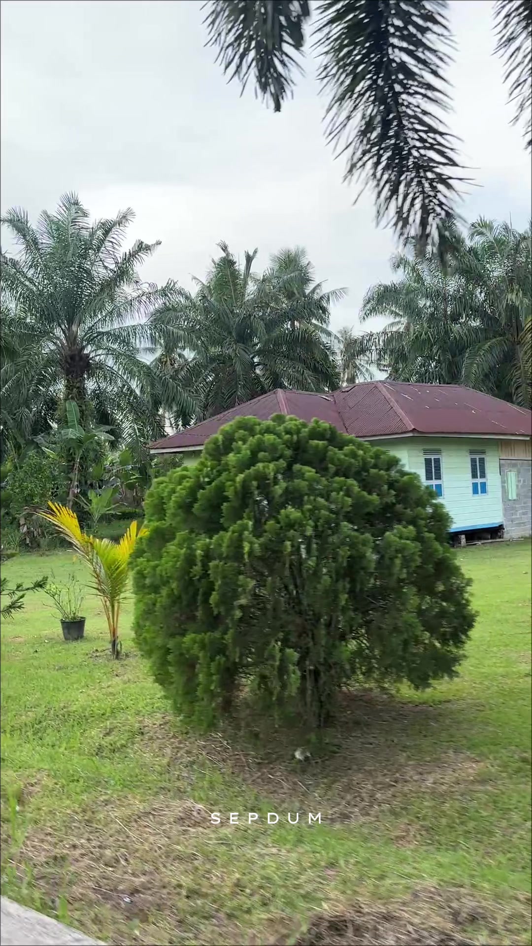 @Seputar Dumai