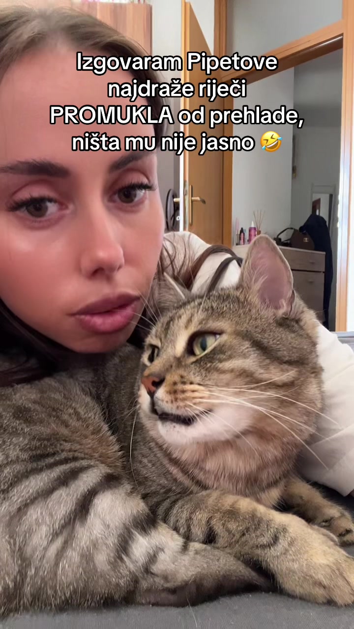 @leyla