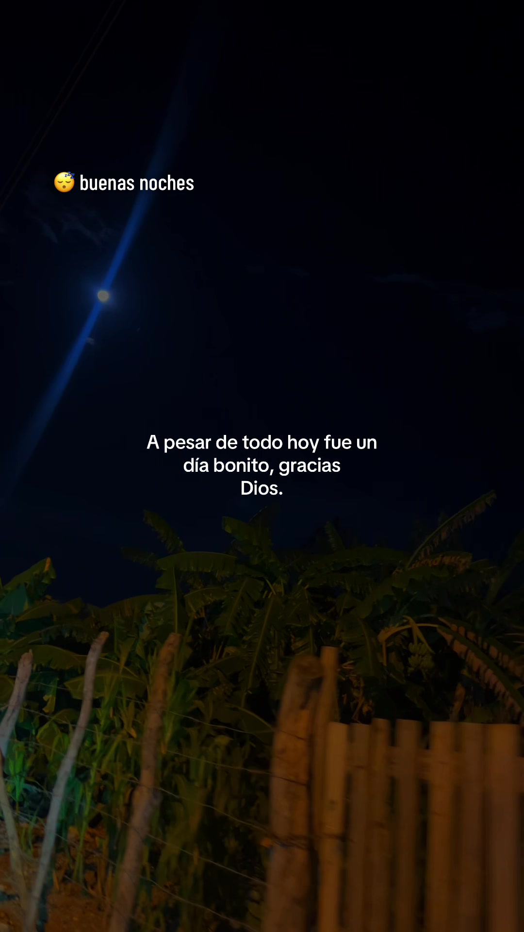 @๐ฅ๐
La naturaleza ๐๐