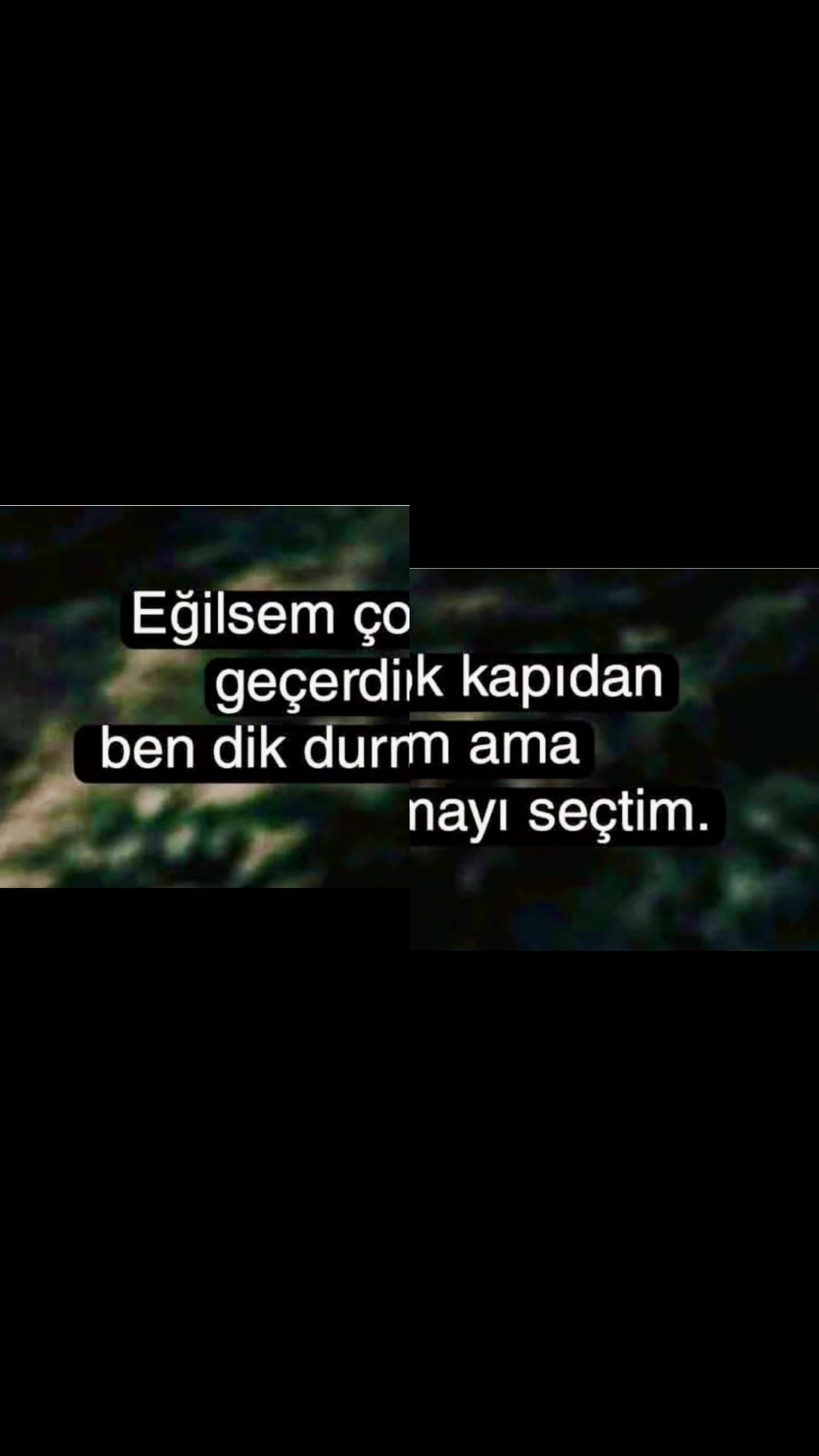 @Asya 38