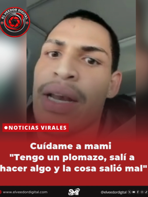 @elveedordigital