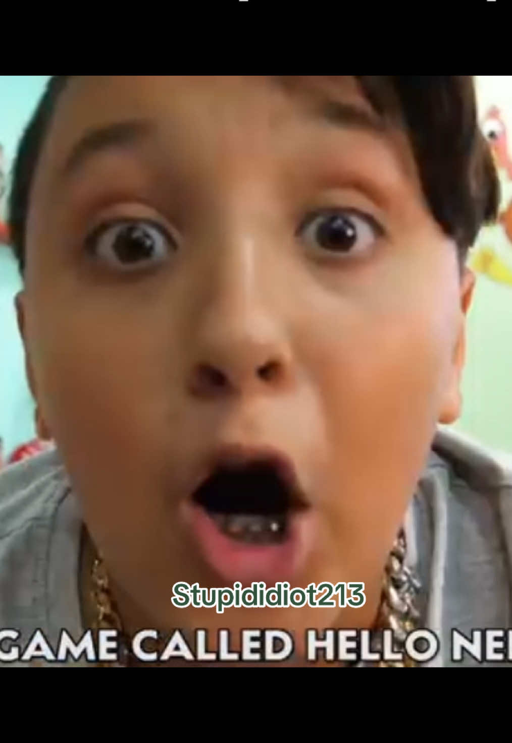 @stupididiot213