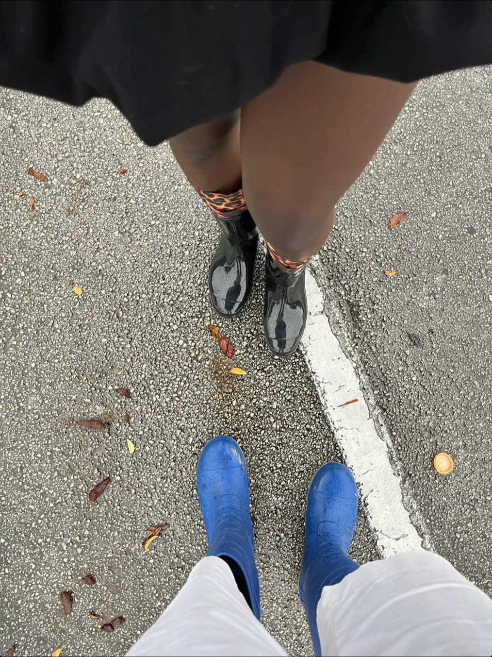 @MiamiDiaries