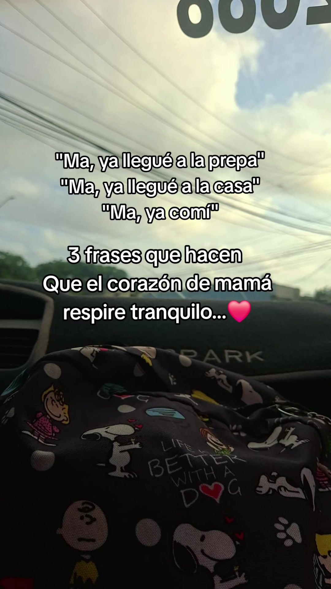 @mily 🌻