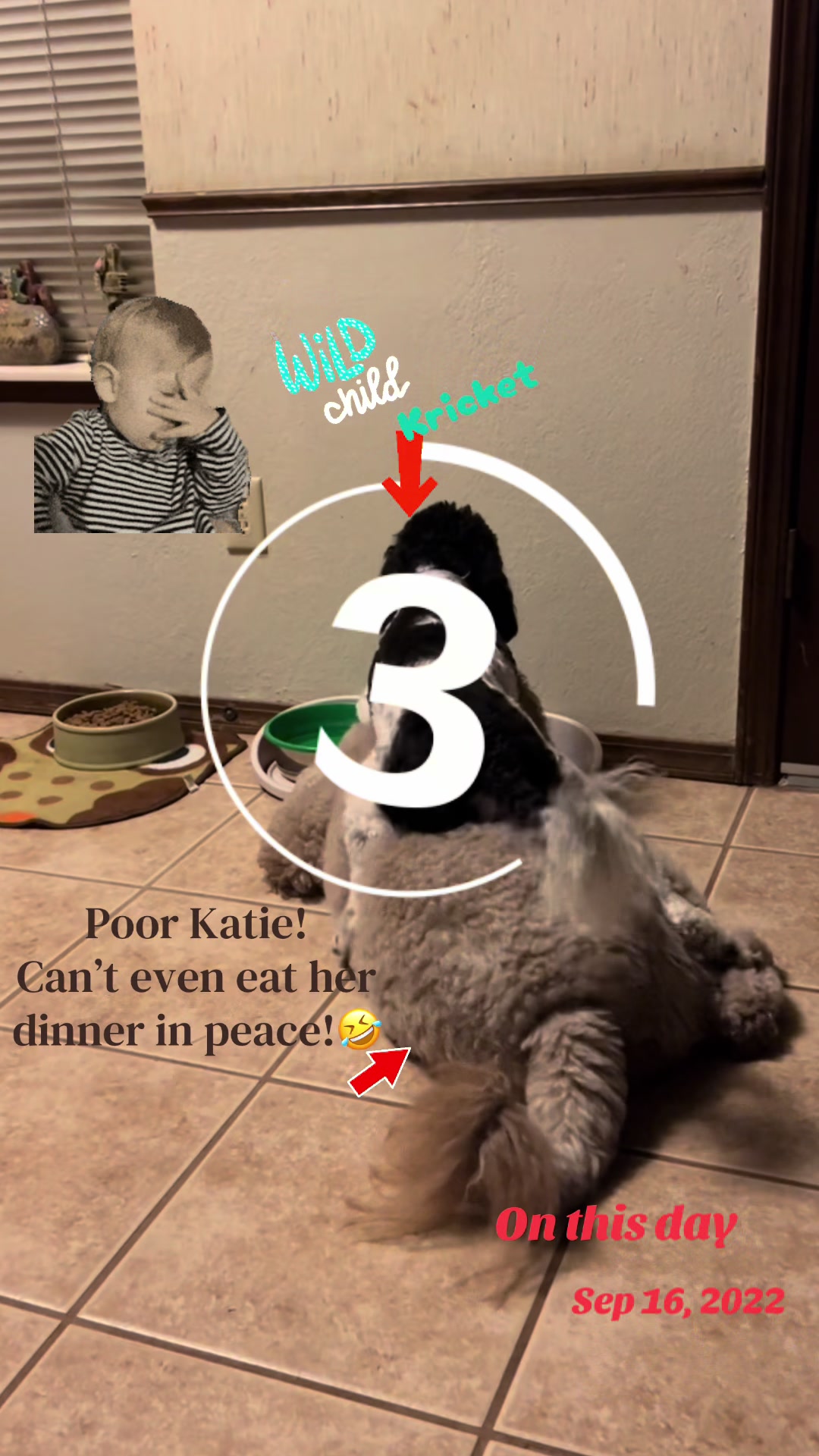 @kattradio