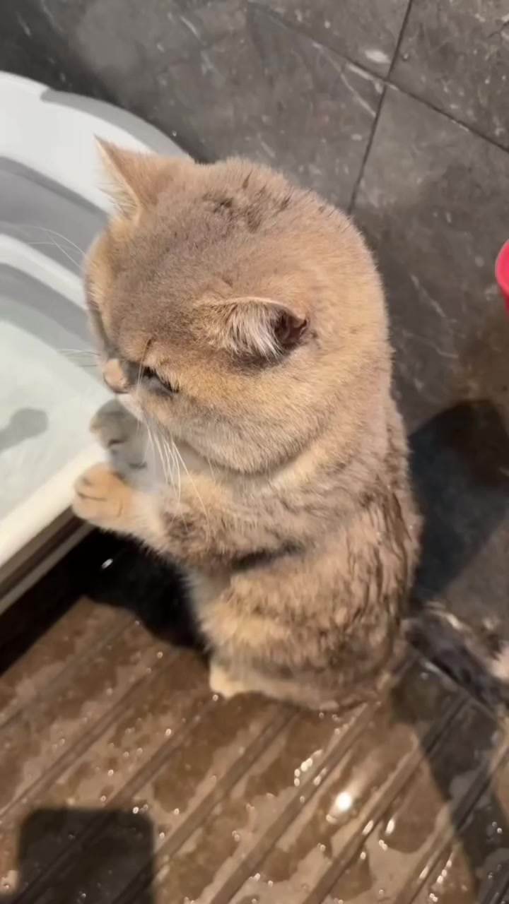 @trạm cute