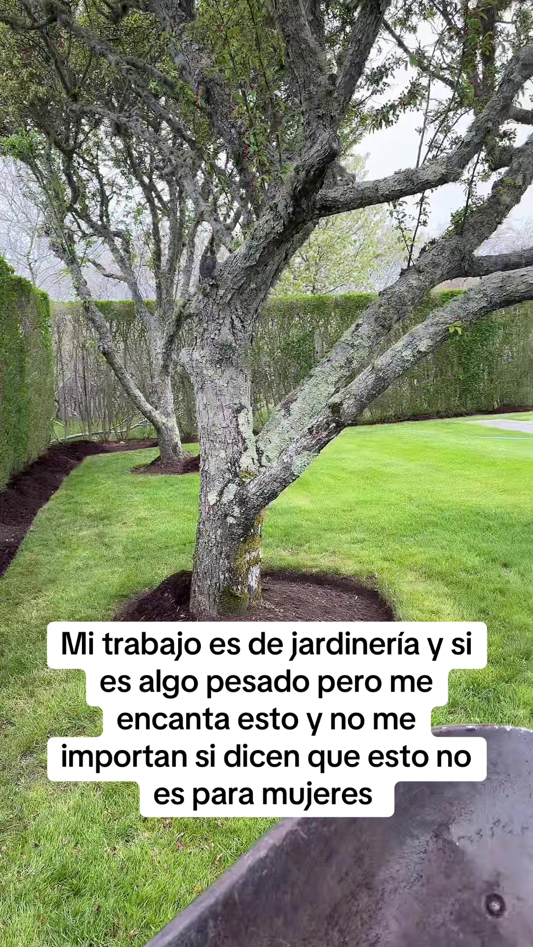 @NancyPena