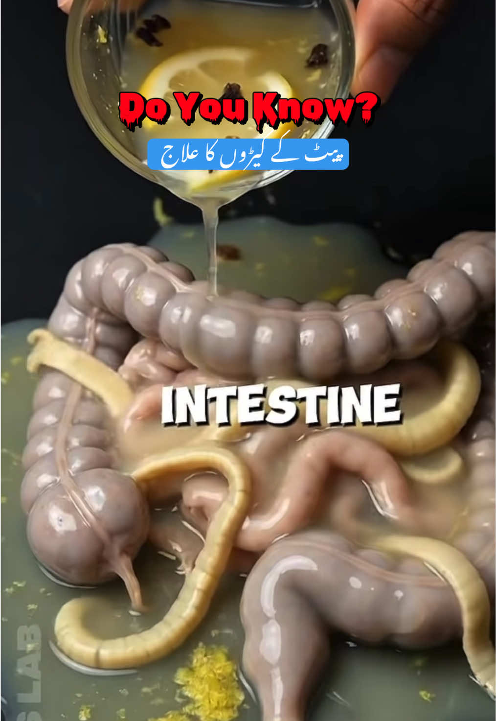 @Pest Mysteries