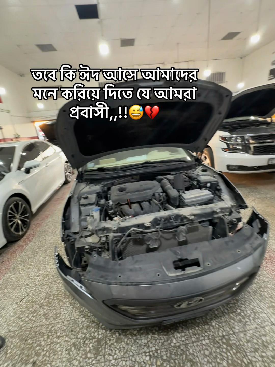 @towhid_98