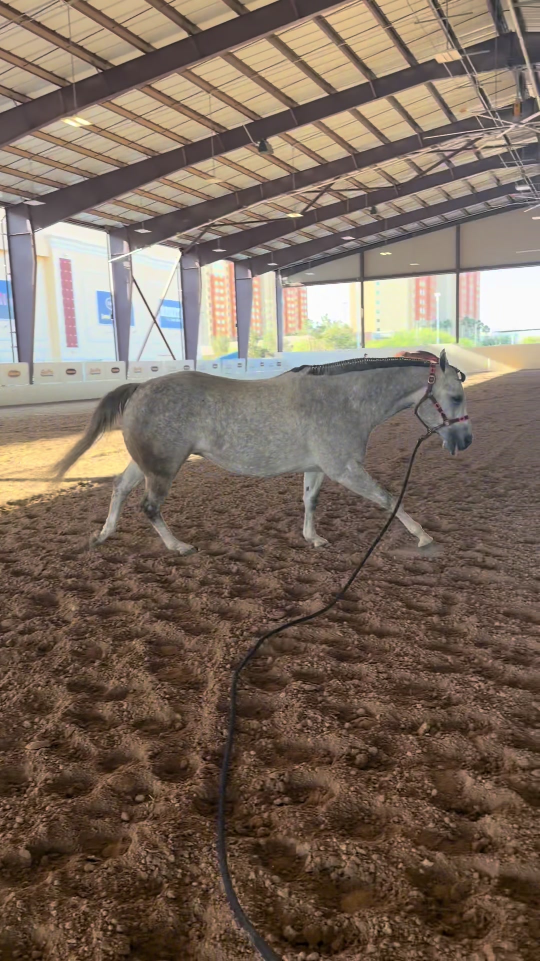 @horselife
