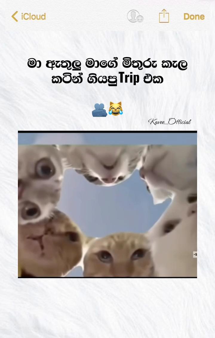 @๐ฒ๐๐๐๐_๐ฌ๐
๐๐๐๐๐