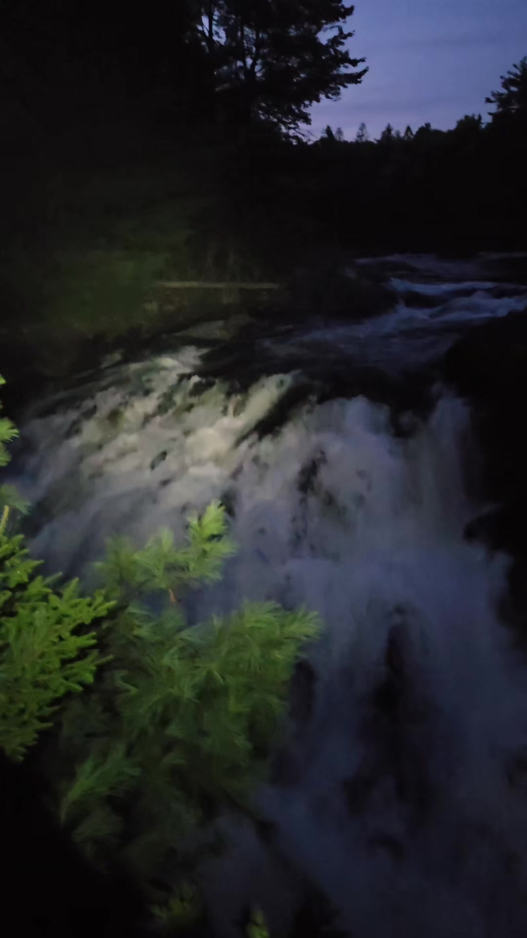 @🇨🇦BELOVE✨️FAE✨️❌️