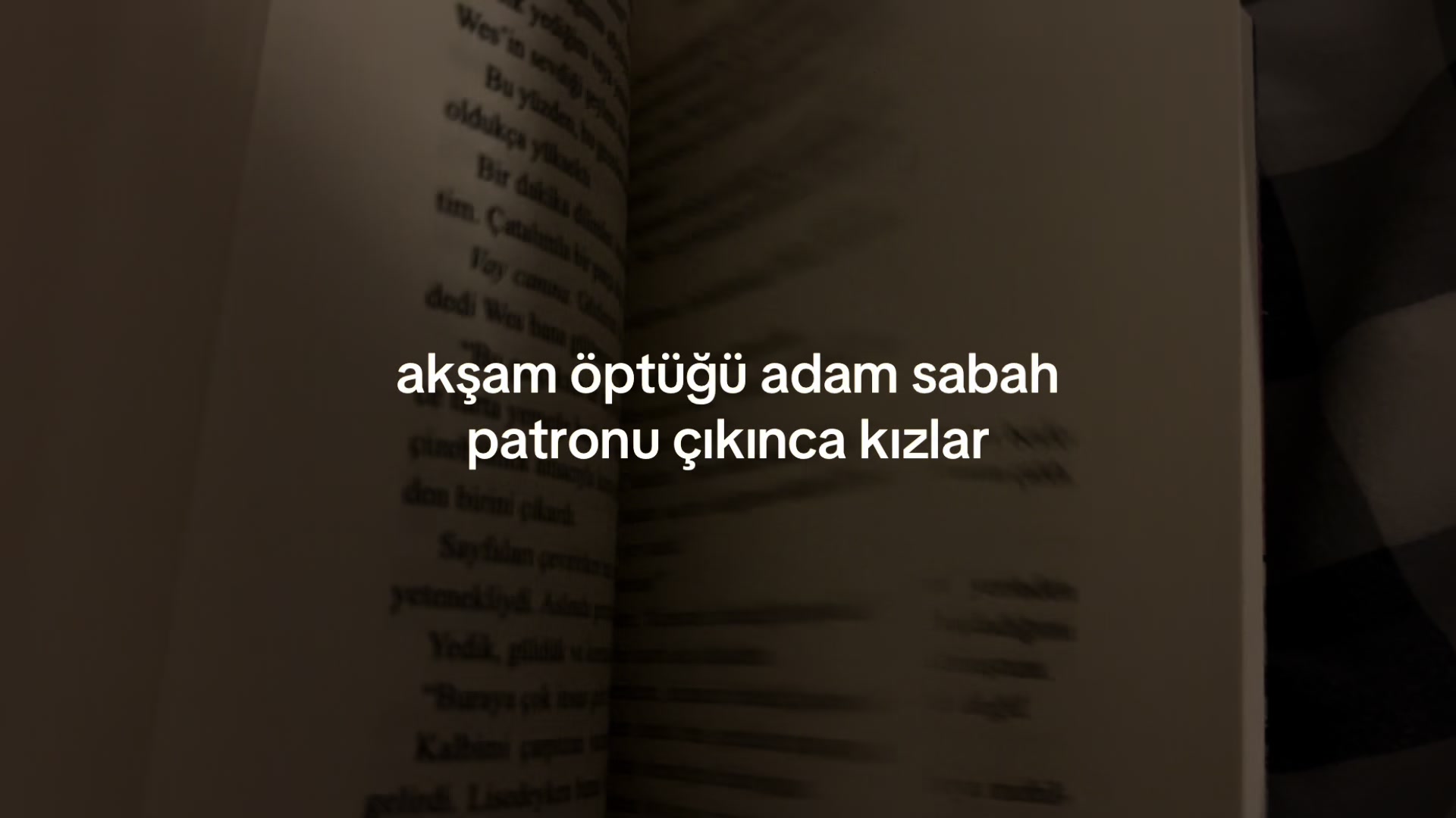 @beanlsy
