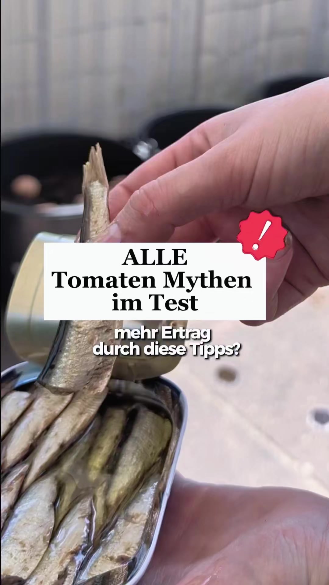 @ErnteExperte