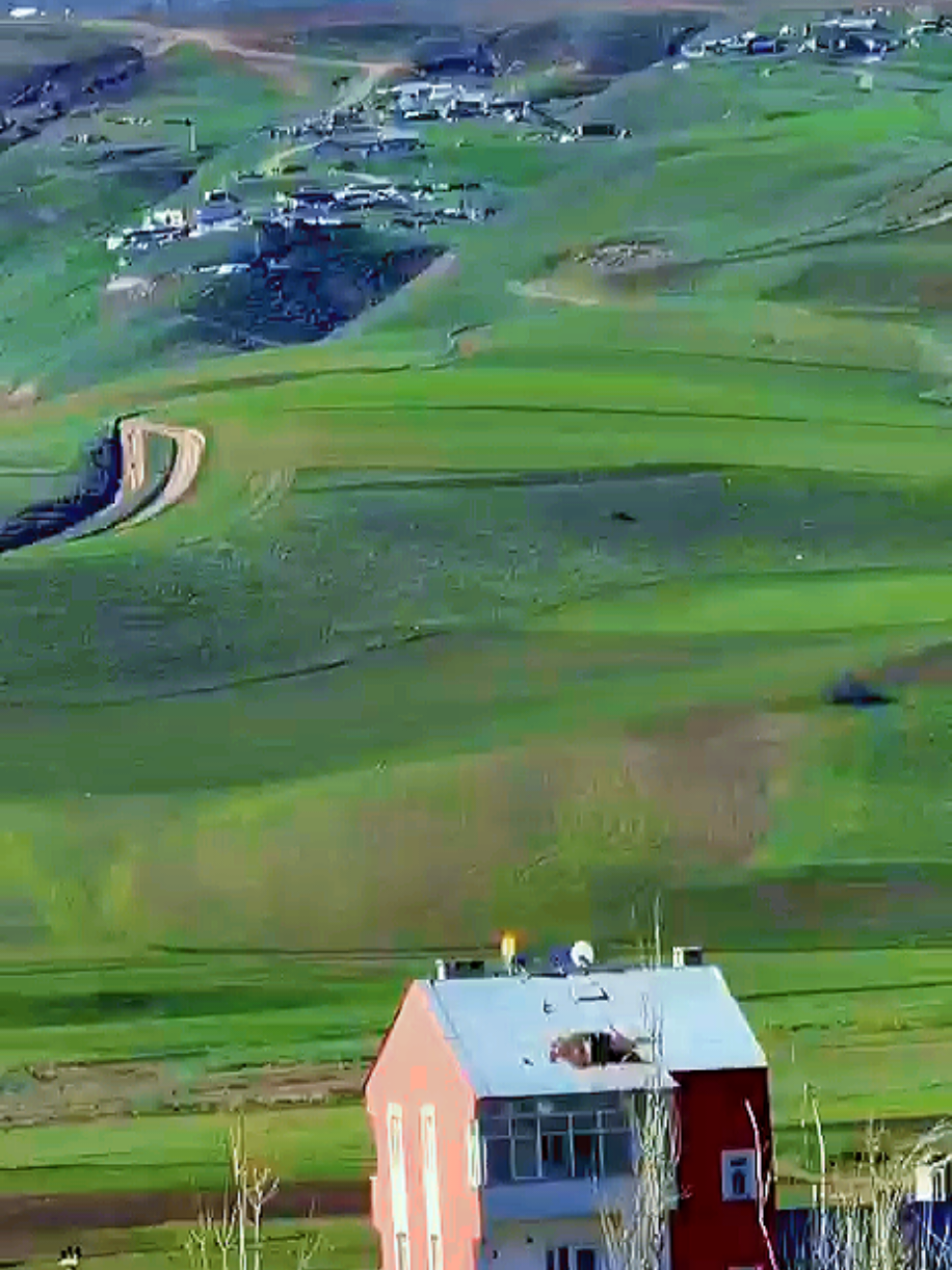 @Çetin ışık