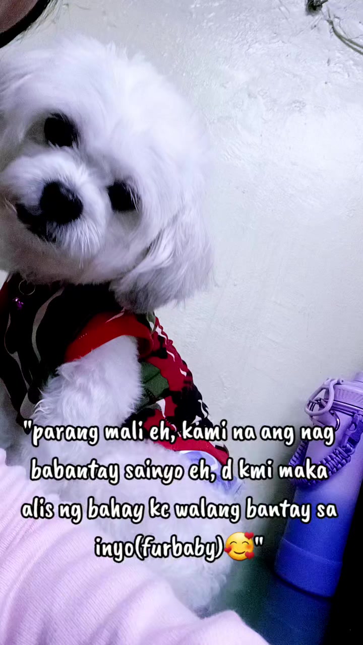 @💖💖Sally 💖💪_KIMINIANS💪