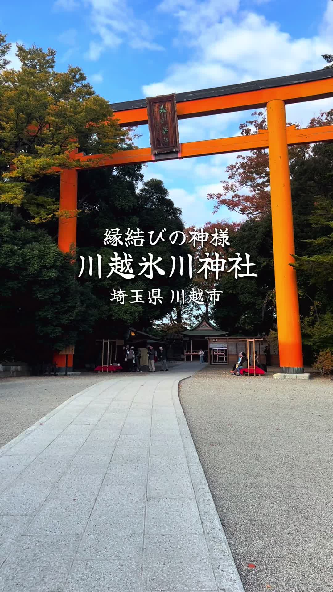 @まもまるも