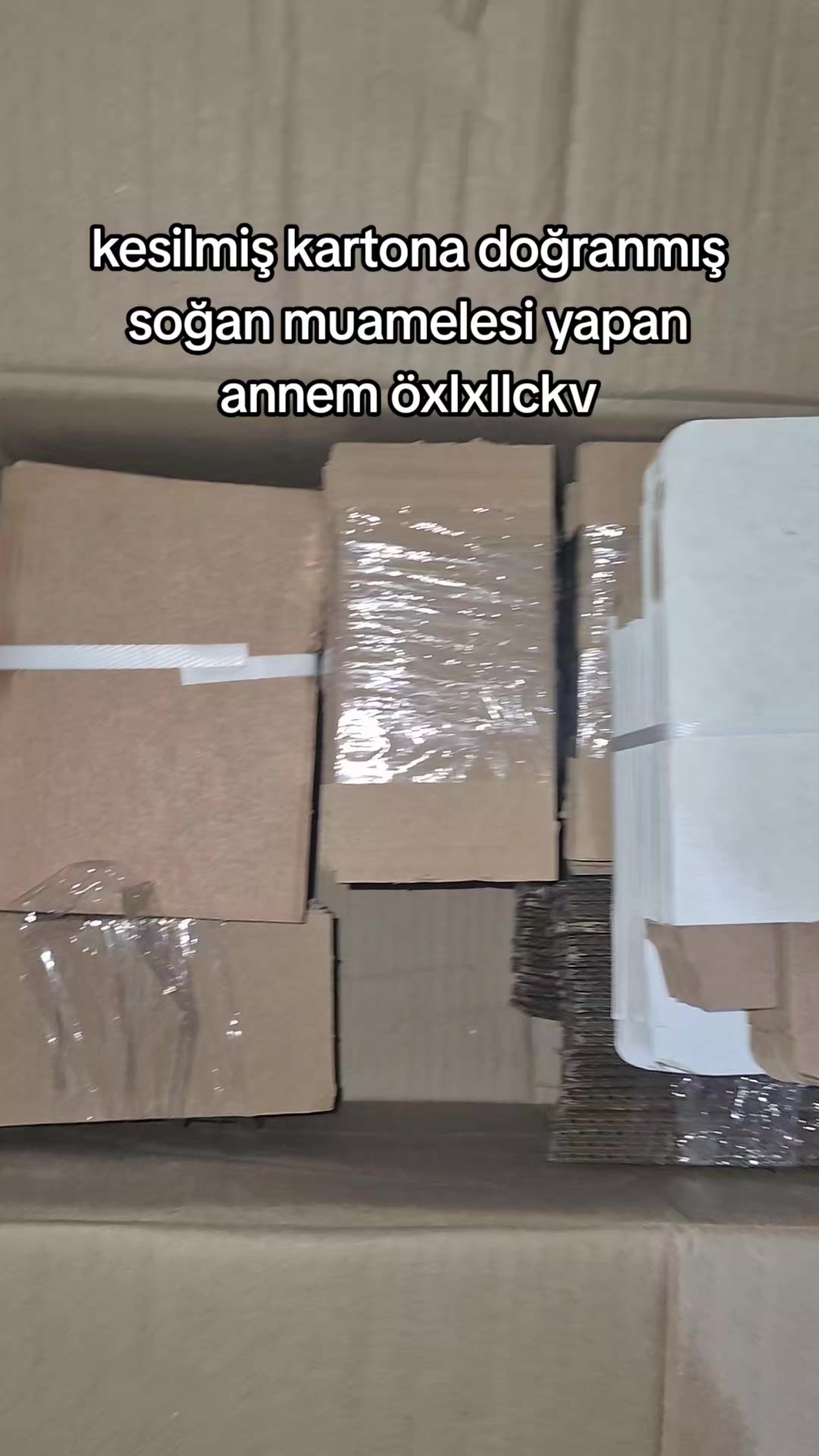 @SNur vers.