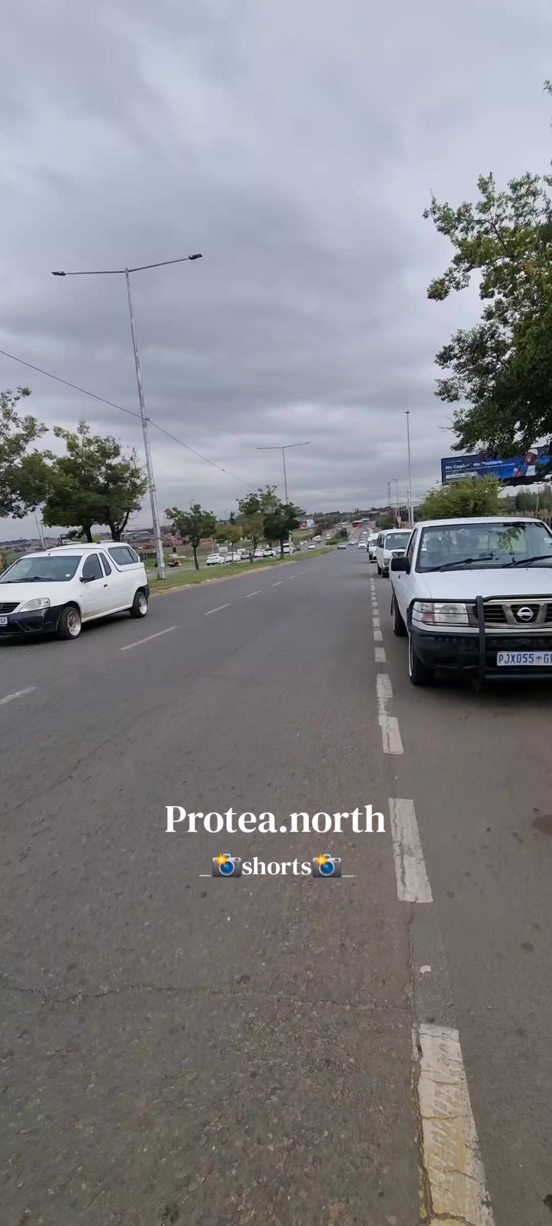 @Protea.north_shorts_