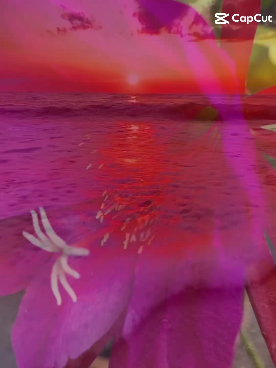 @AchimM