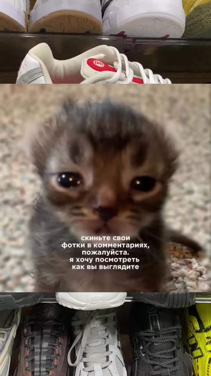 @Michail_sklad