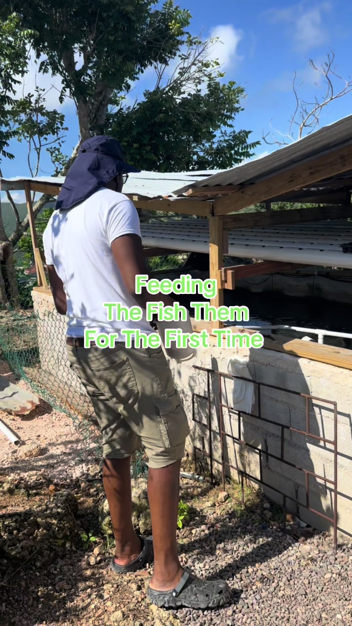 @Ripteez_Farm