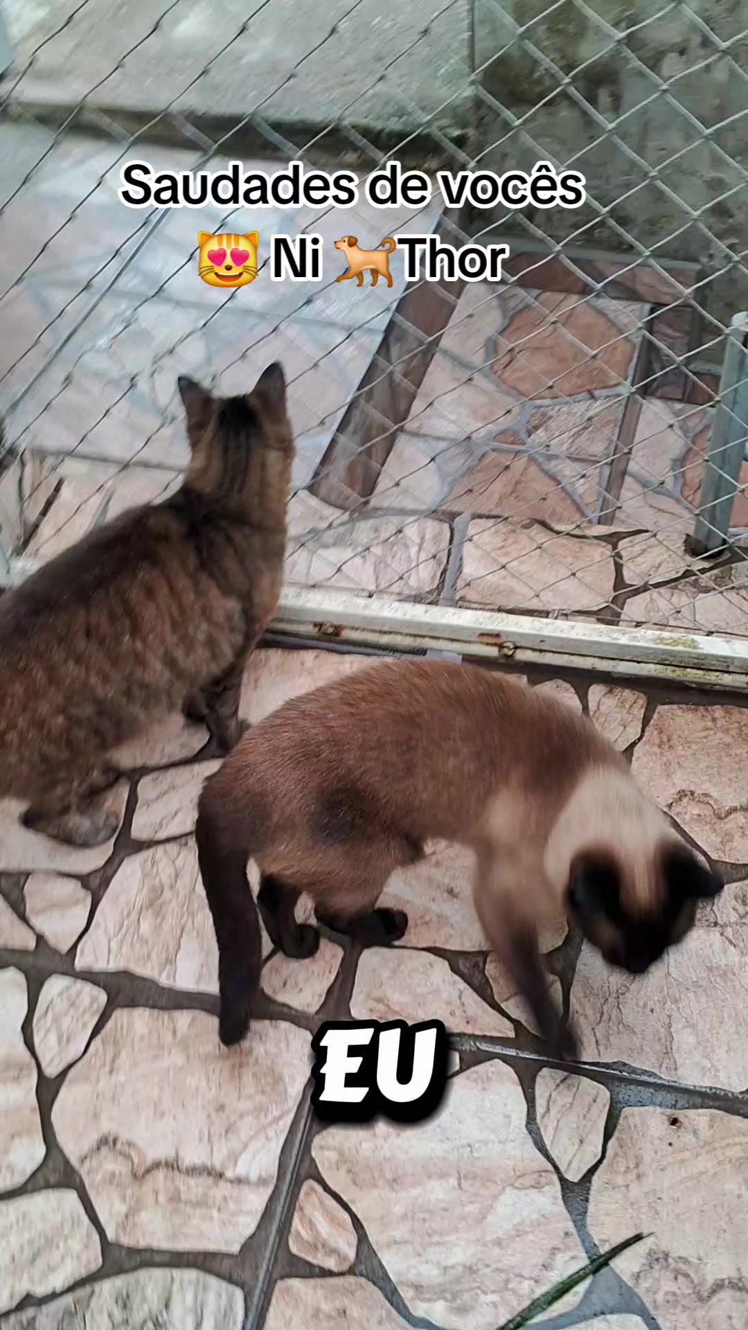 @lua