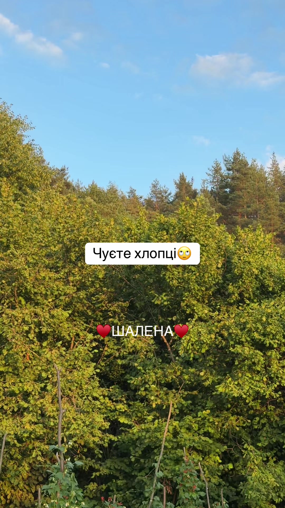 @&hearts;️ШАЛЕНА&hearts;️