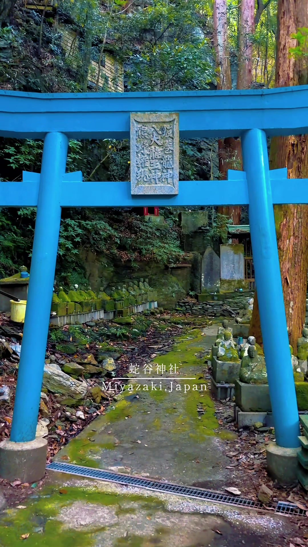 @𝐊𝐚𝐳𝐮𝐤𝐢