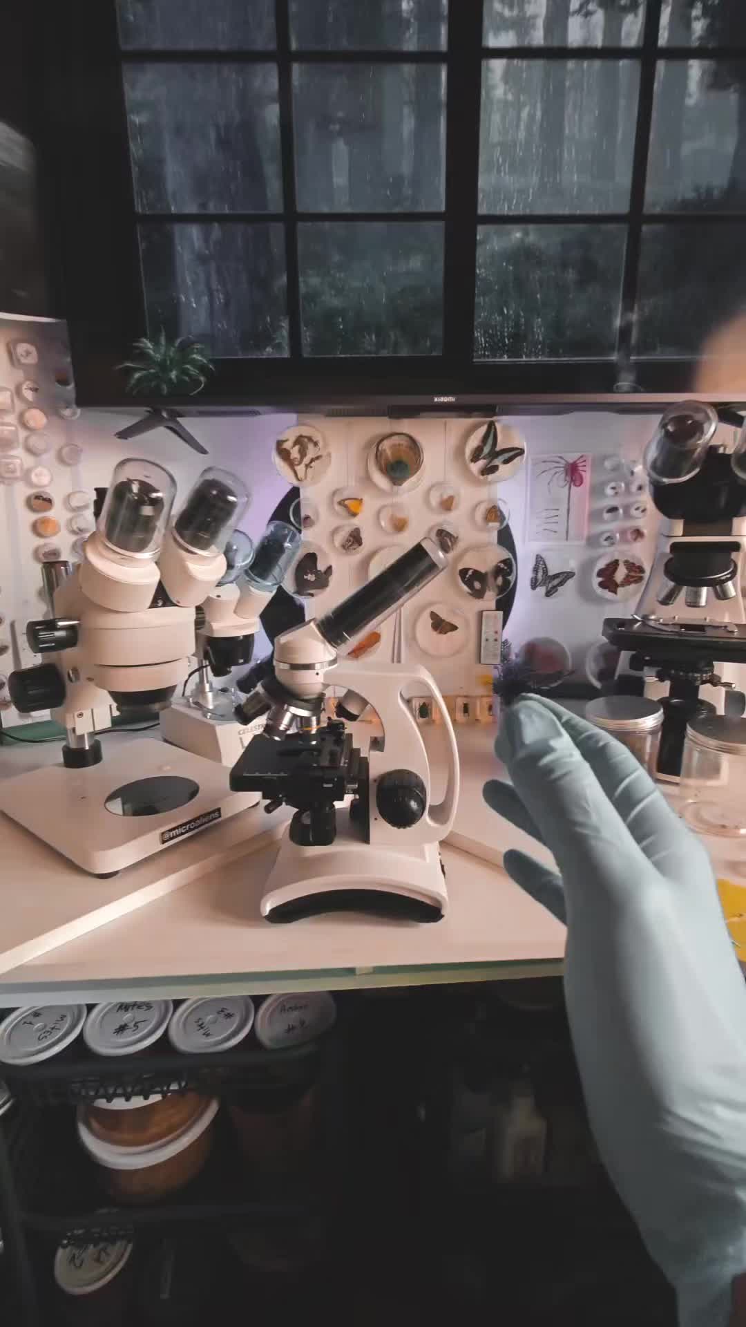 @МИР ГЛАЗАМИ МИКРОСКОПА