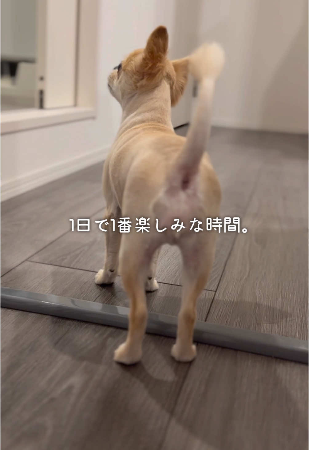 @きなこおぜん