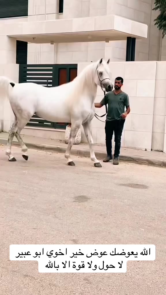 @Ghassancorneto