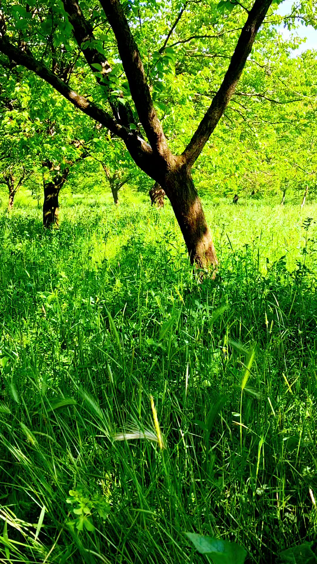 @Ebubekir adıyaman
