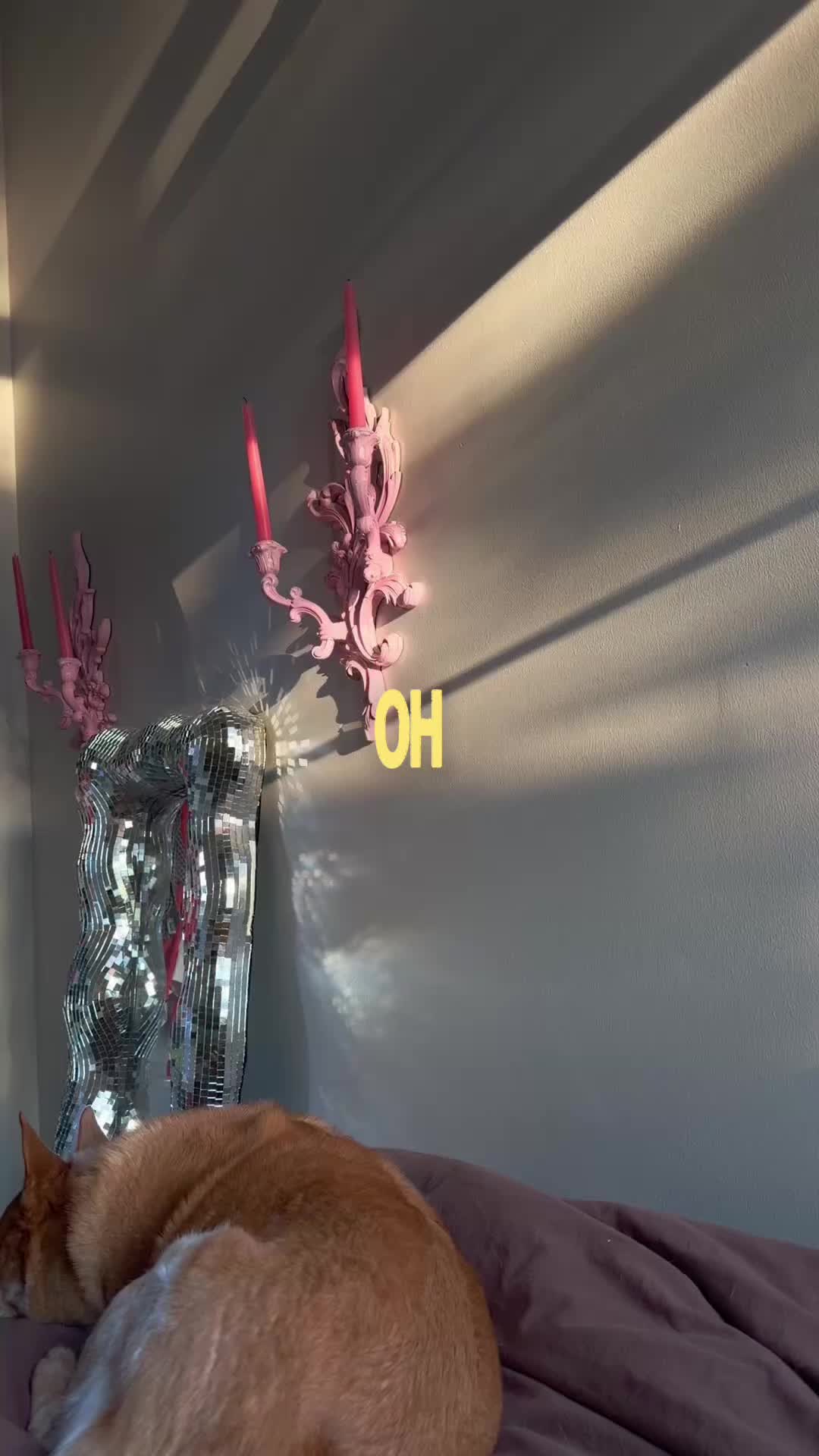@Ed 🐞