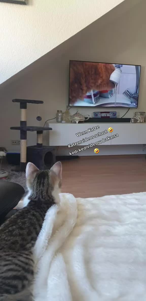 @Minnoş❤💙61