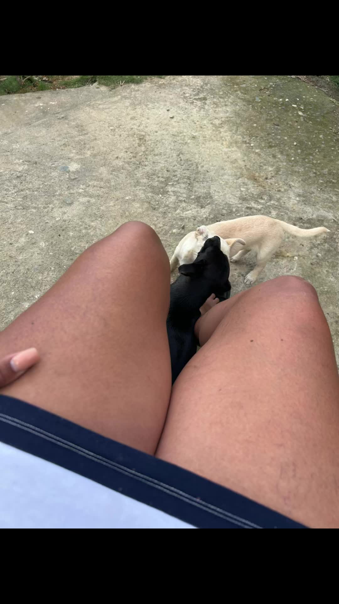 @Dlanfranco