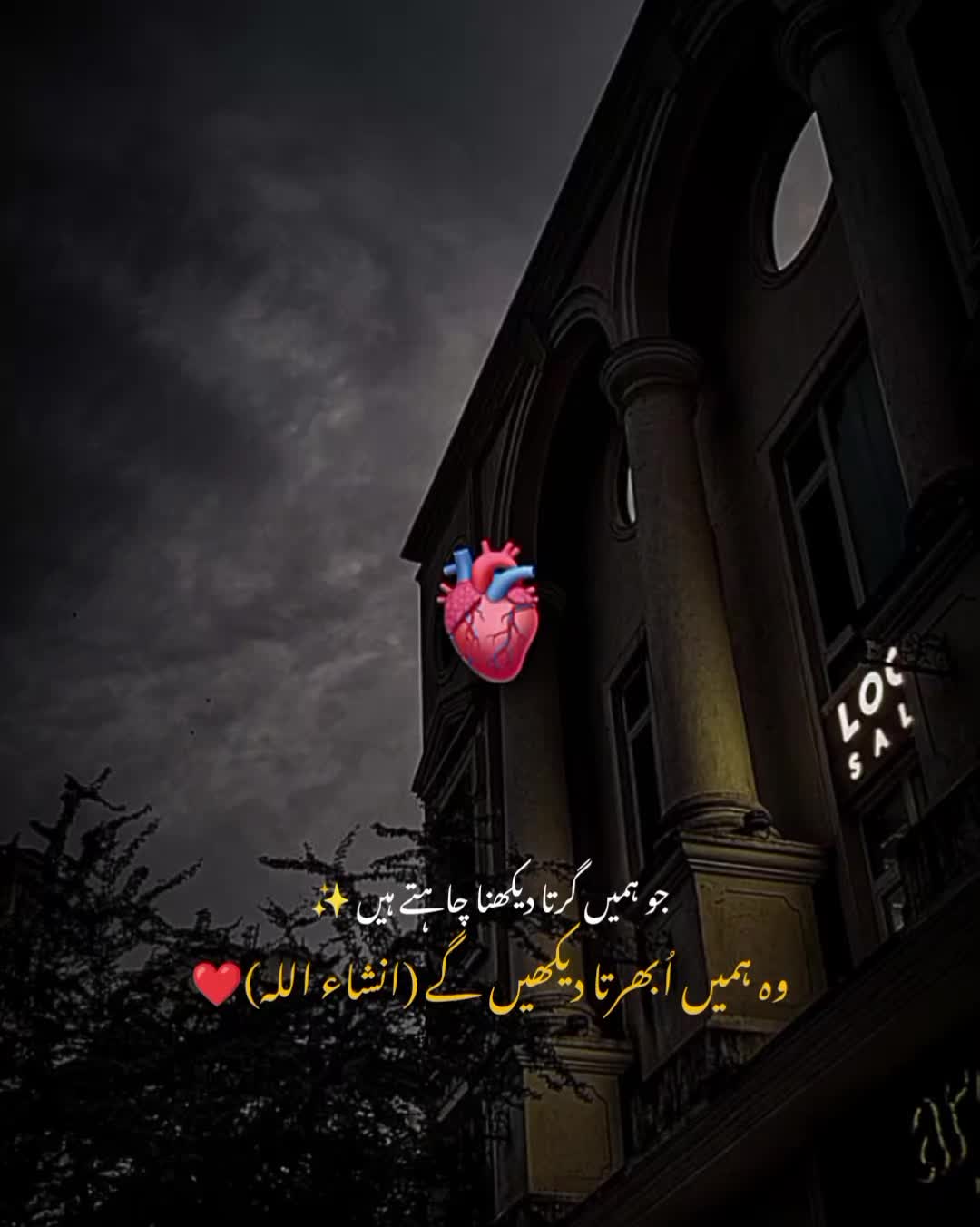 @MrS ArSaLaN♥️
