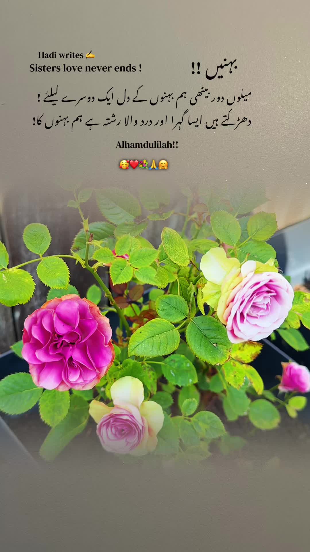 @Bhai Behen Quotes ✍️🥰🙏