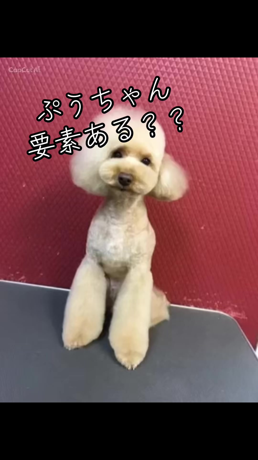 @ðð¥27æ¥ðmaimaið¥ð