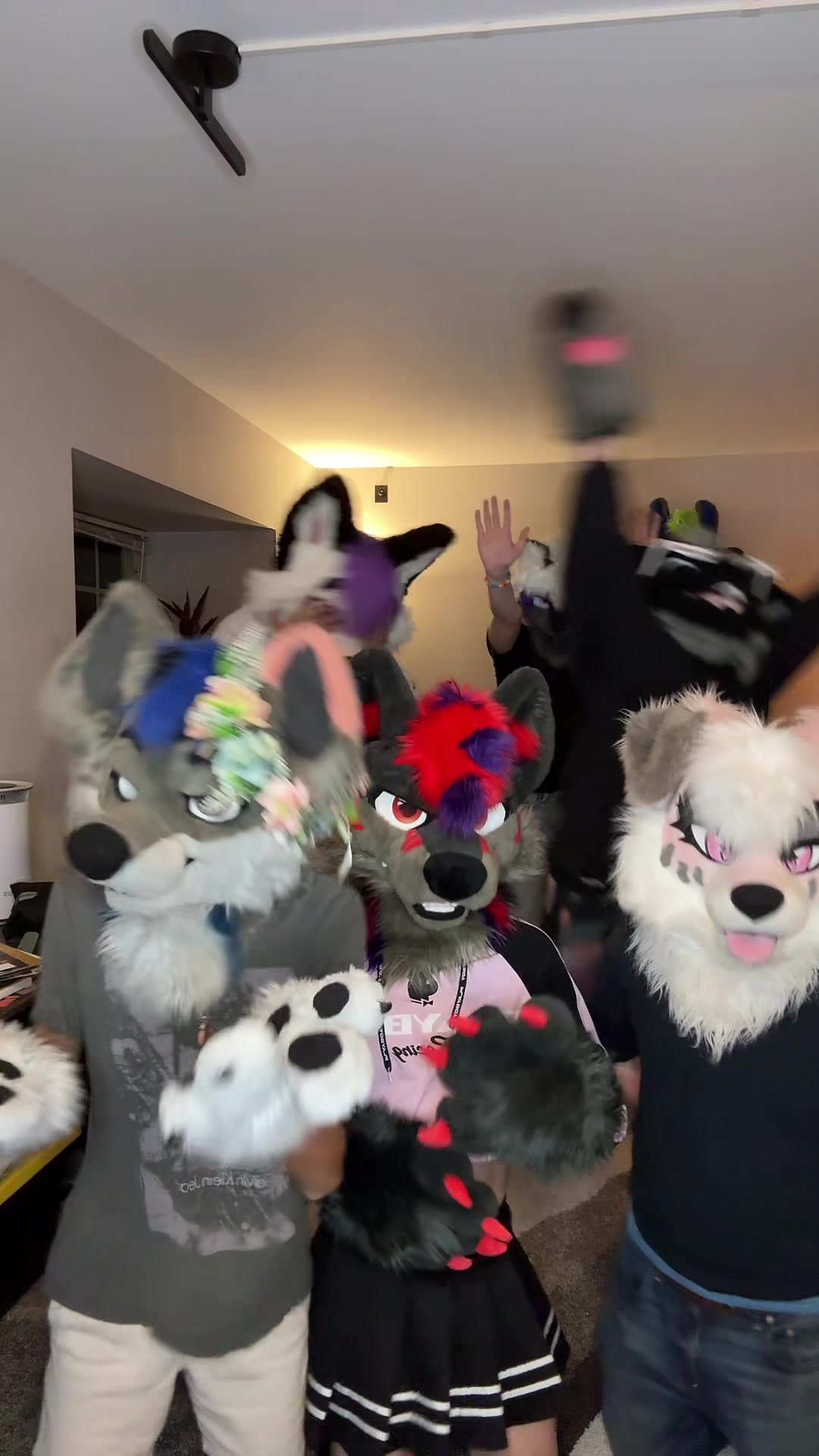 @DisjointWolfy