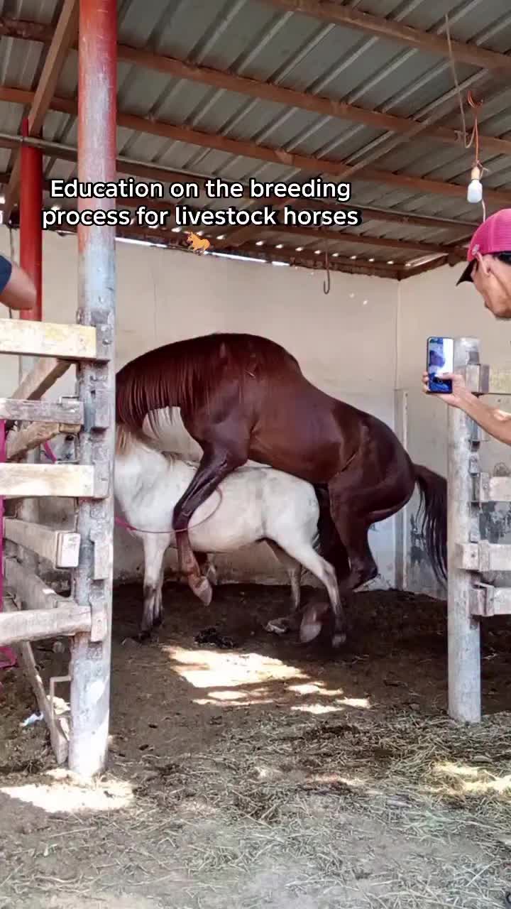 @annaroseus101