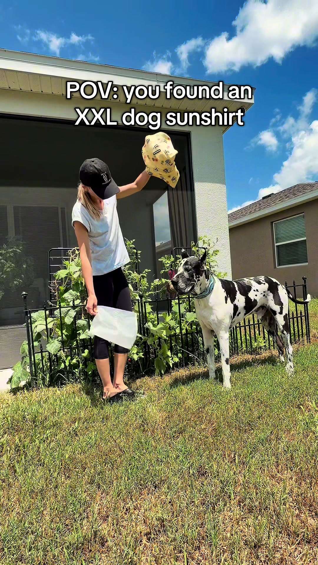 @Greyson the Great Dane