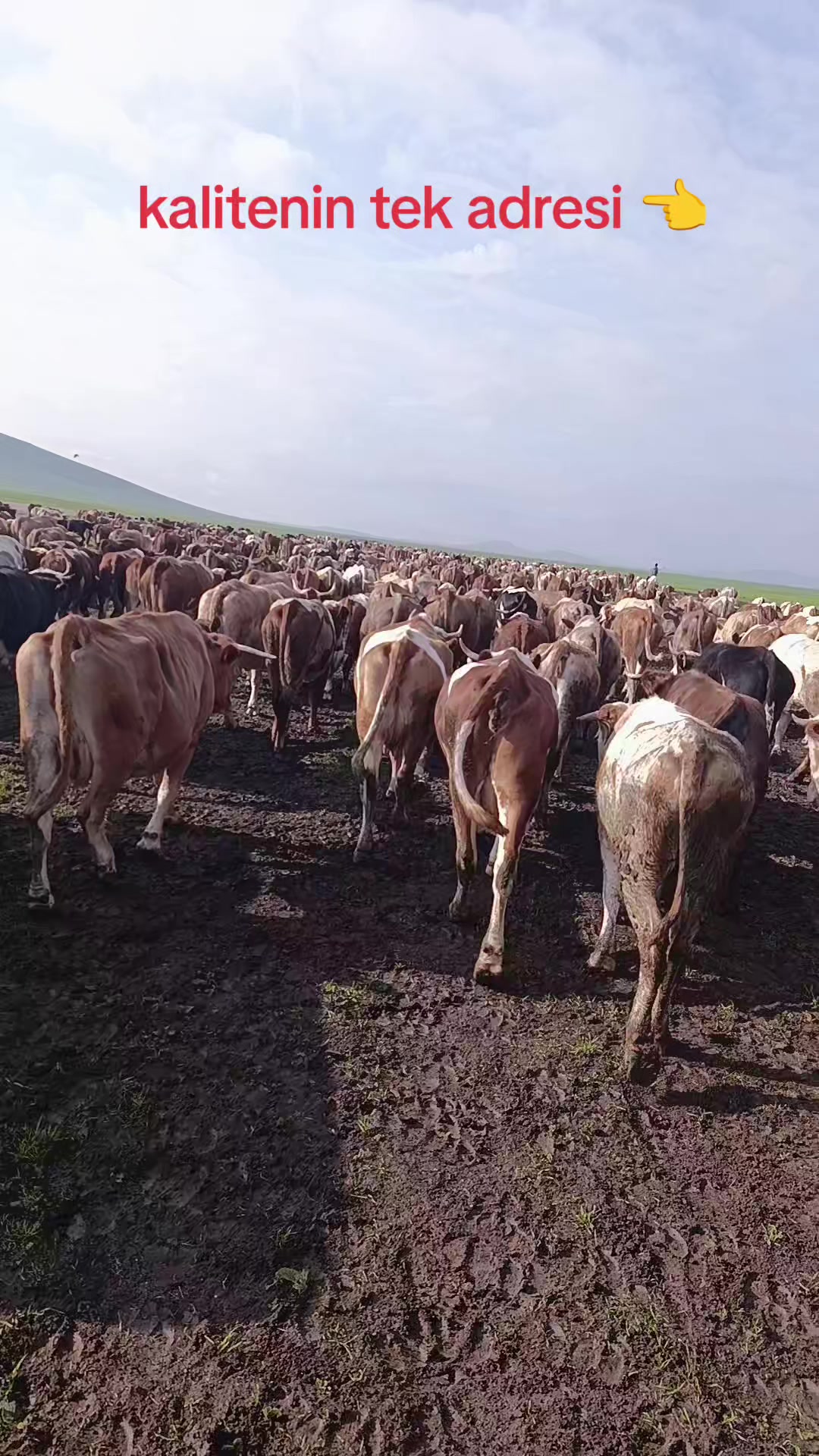 @FERHAT ÇUKU 76☀️