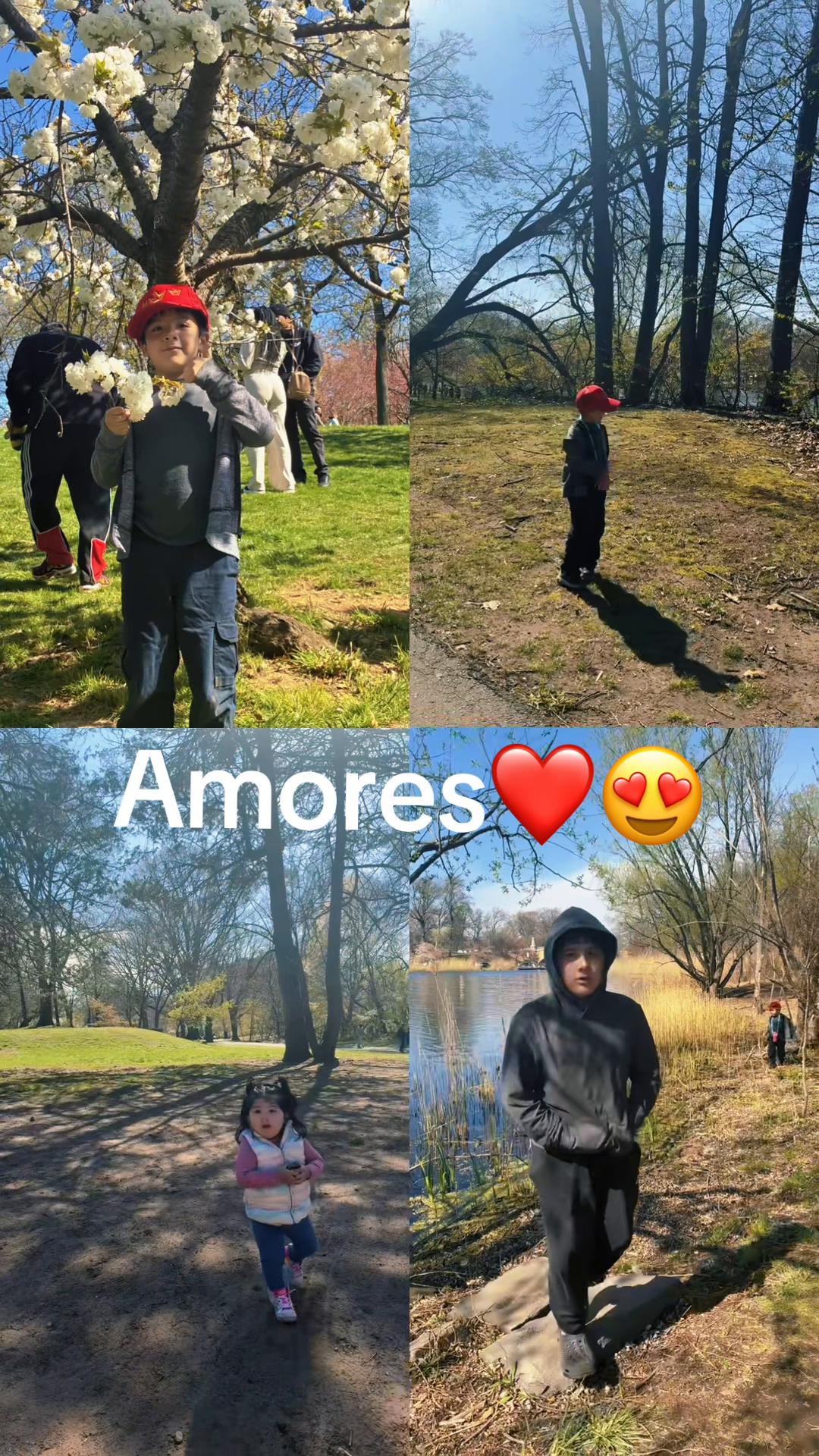 @Melva23