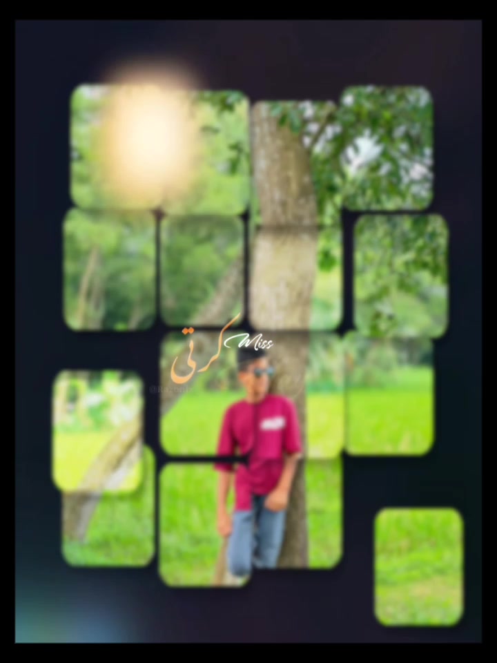 @🍁 S H F I U L 🍁