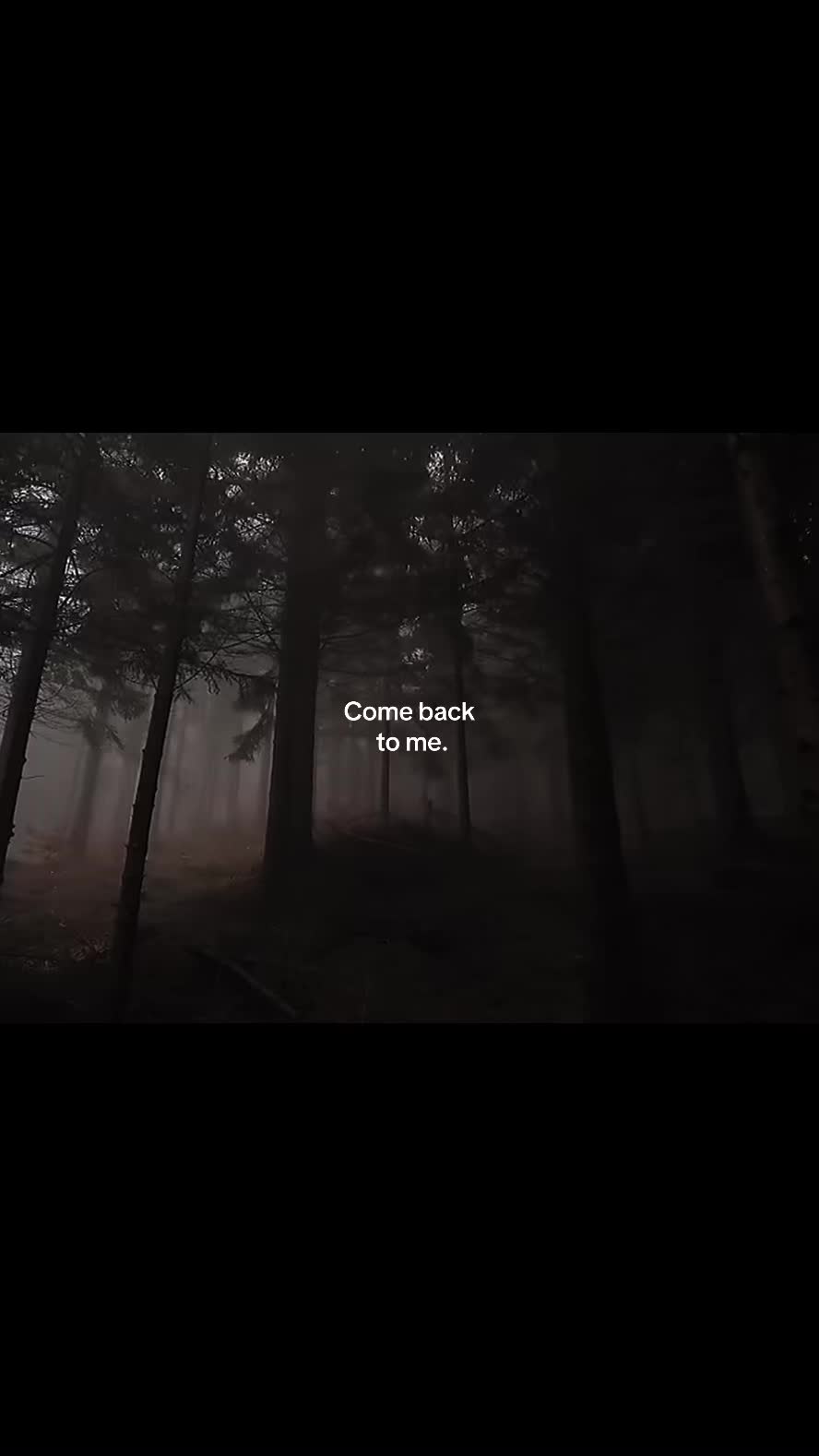 @noctyx